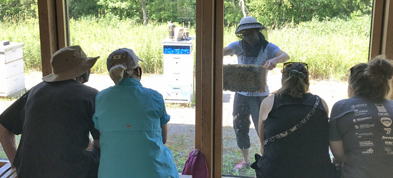 Watching the beekeeper at the Bee Center, photo by Laura Cogswell.