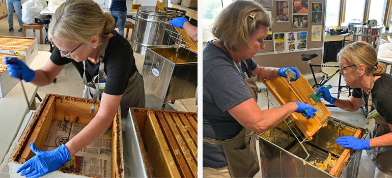 Harvesting honey at the Bee Center, photos by Jill Leenay