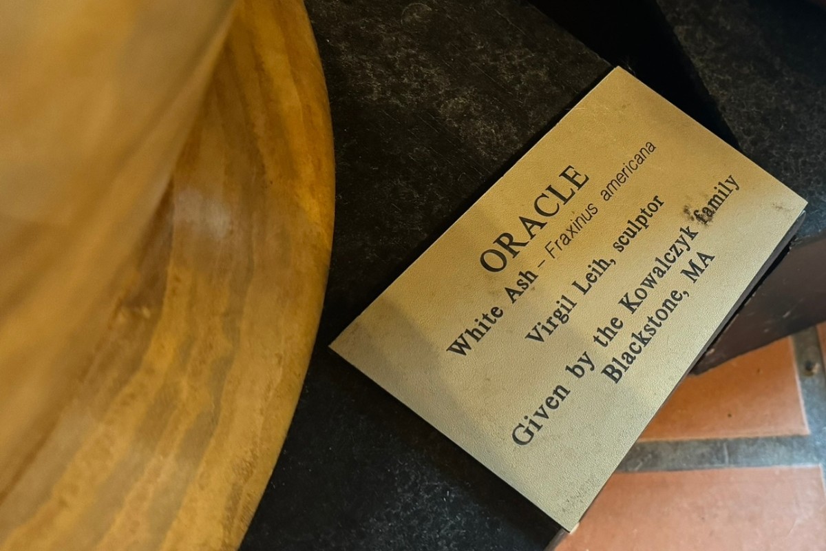 Oracle plaque