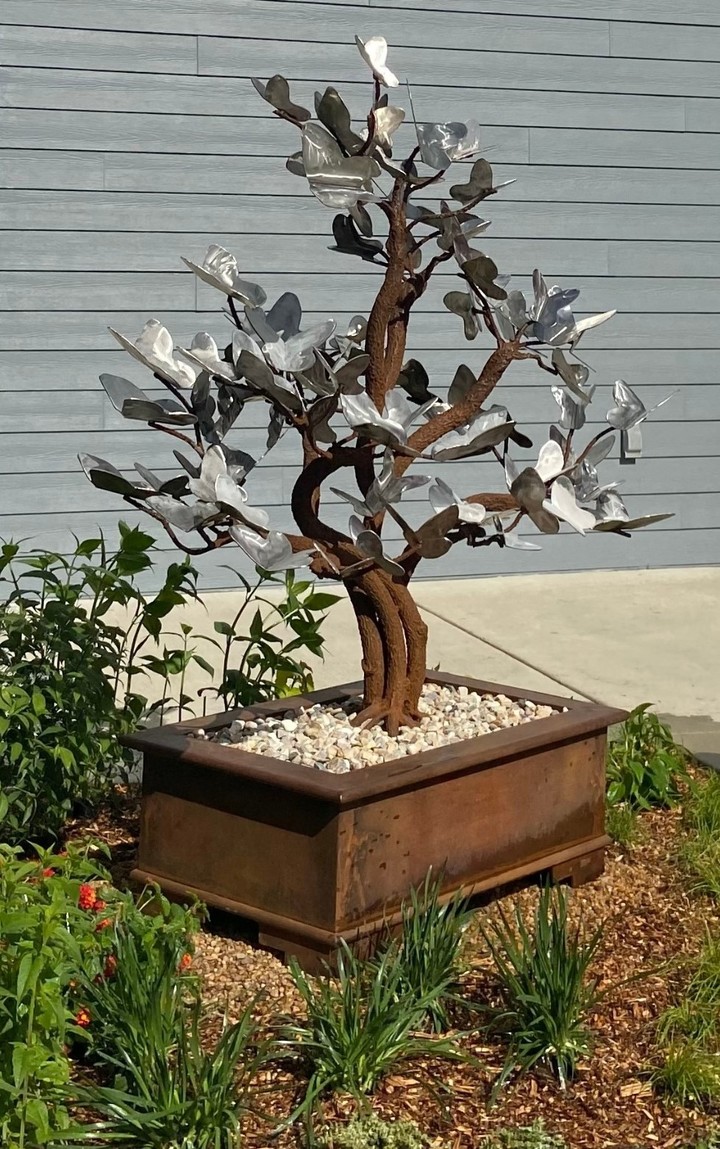 Bonsai tree sculpture