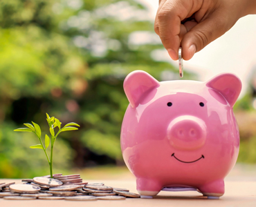 Piggy bank with coins and plants, photo by MEE KO DONG/shutterstock