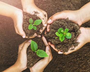 Children planting in soil, photo purchased from iStock