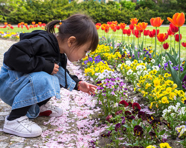 child with spring gardens, photo purchased from iStock
