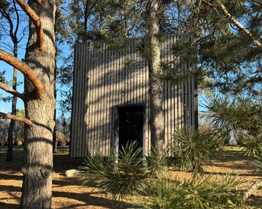 Pine CONE structure