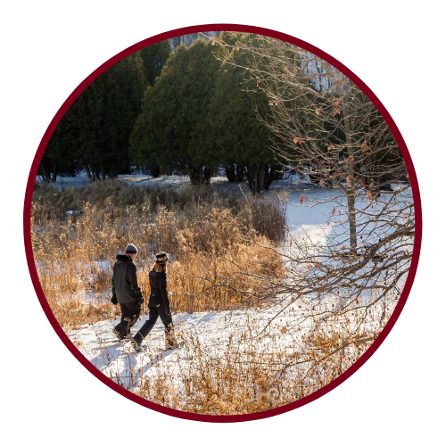 Couple walking on a trail in the winter