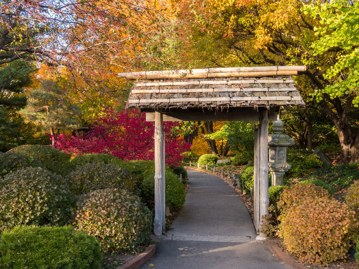 Entrance to the Japanese Garden in fall
