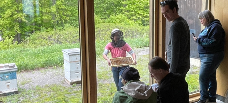 Watching the beekeeper at the Bee Center, photo by Jill Leenay.