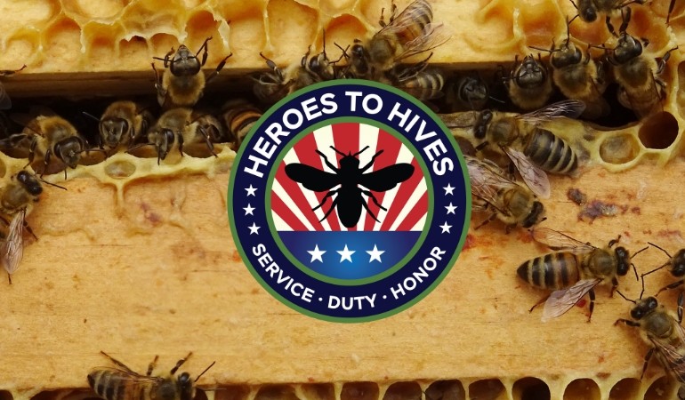 Logo on top of a beehive image